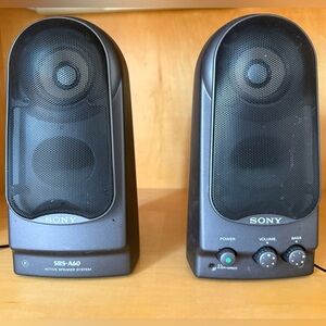 Sony SRS-A60 Black Portable Speaker System
